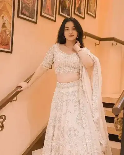 Escort Service In Mehsana